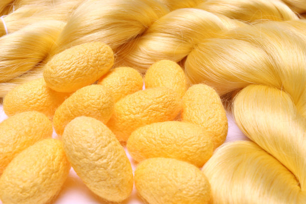 泰国蚕茧图片下载