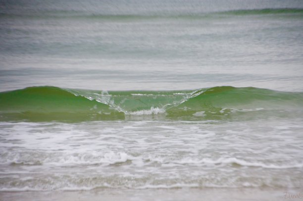 在科德角国家海滩上，绿色的海浪卷起泡沫图片下载