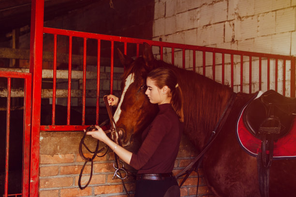 骑着马的年轻女子图片下载