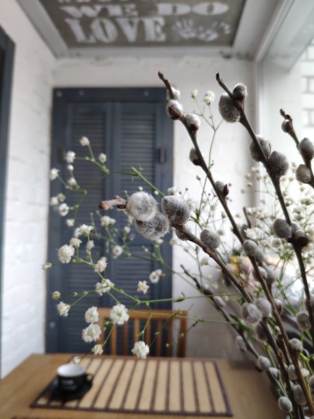 花柳枝上的背景北欧风情，春天静物图片下载