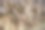 森林边缘的柴堆图片下载
