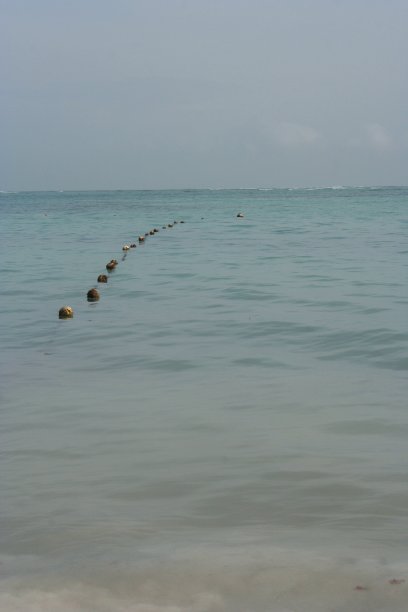 蓬塔卡纳的大西洋海滩图片下载