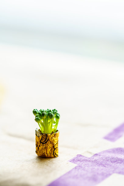 菜花盆栽图片下载