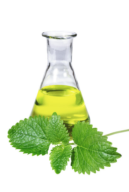 新鲜的梅莉莎叶和香脂泡沫图片下载