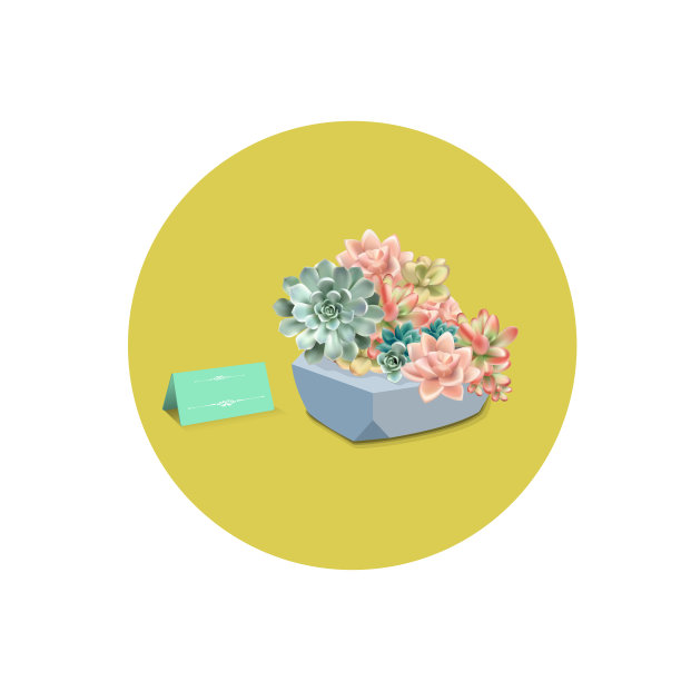 多肉植物在花盆用卡片装饰图片下载