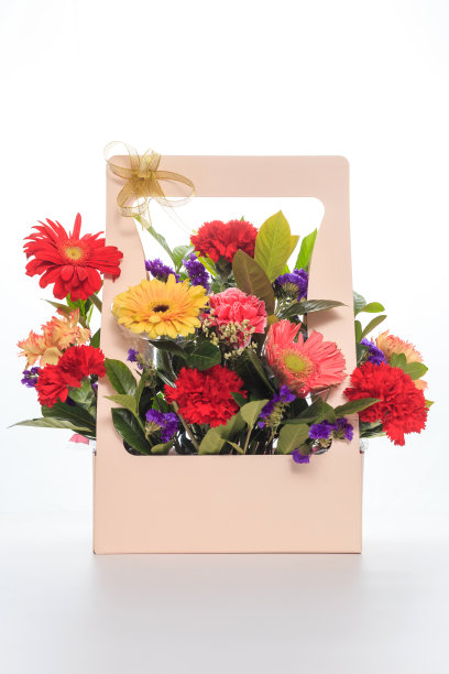 白色背景上的花图片下载