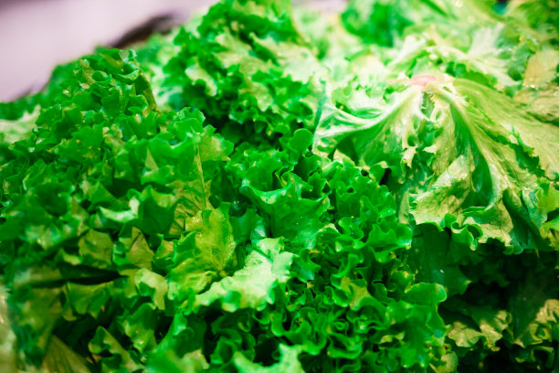 沙拉的绿叶。图片下载