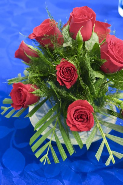 浪漫的红玫瑰花饰，玫瑰花饰配绿叶，芦笋或棕榈叶图片下载