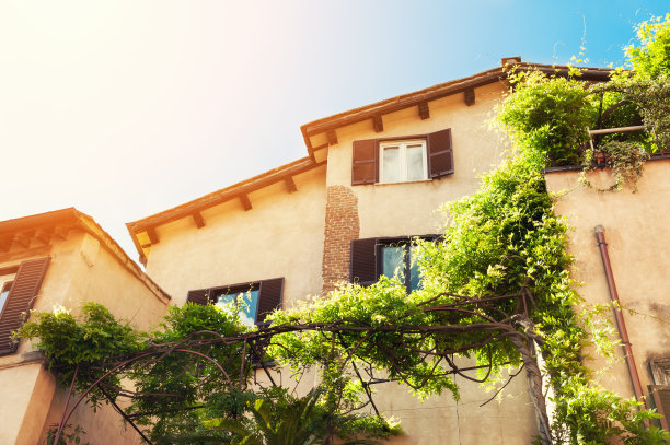 意大利罗马的建筑。图片下载