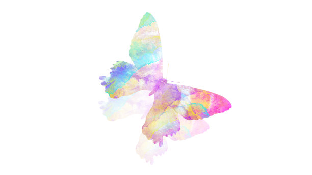 水彩蝴蝶。用于设计的热带昆虫。在白色背景上隔离图片下载