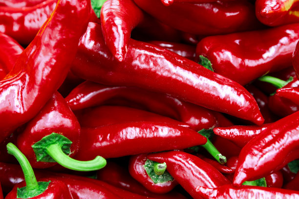 鲜红辣椒图片下载