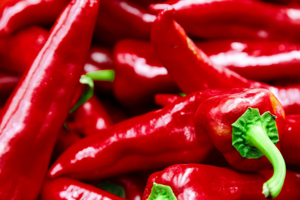 鲜红辣椒图片下载