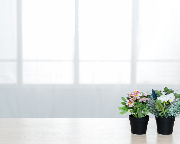 有美丽的花和各种各样的物品在大客厅的窗户前。图片下载