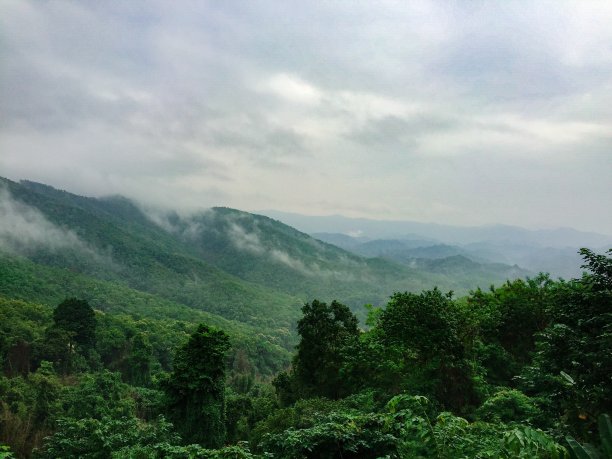 森林上空的雾气蒸发到大气中图片下载
