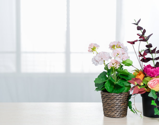 有美丽的花和各种各样的物品在大客厅的窗户前。图片下载