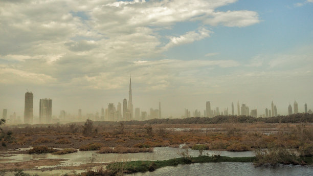 迪拜拉斯奥科尔野生动物保护区，阿联酋图片下载