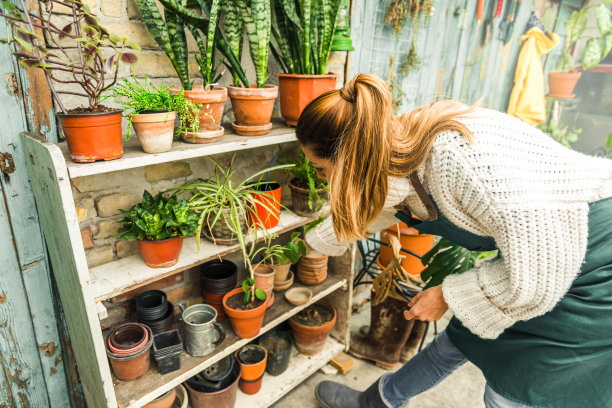照顾我的植物图片下载