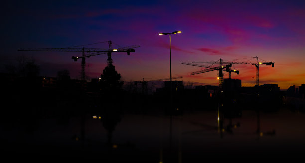 晚上鹤的剪影图片下载