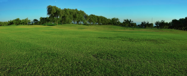 绿地全景图片下载