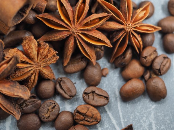 八角，咖啡和肉桂图片下载
