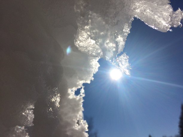 冬天的太阳图片下载