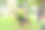 小男孩戴着安全装备爬上冒险公园的绳索墙。用智能手机拍摄照片。儿童夏季进行极限户外活动。后视图图片下载