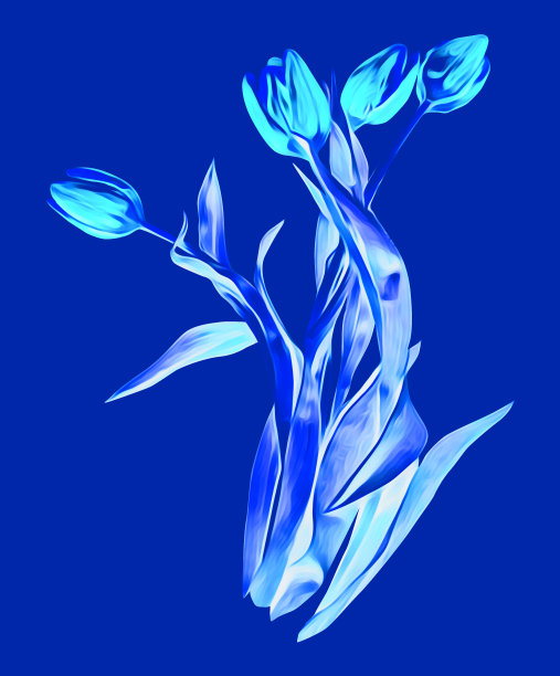 郁金香图案，手绘水彩插图。图片下载