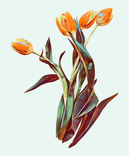 郁金香图案，手绘水彩插图。图片下载