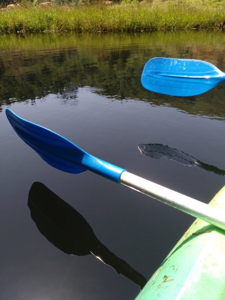 湖上有两支桨图片下载