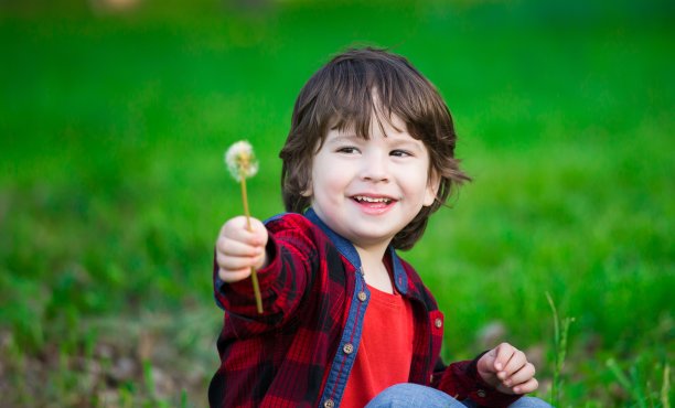 脸，有趣，红衬衫，绿背景，蒲公英图片下载