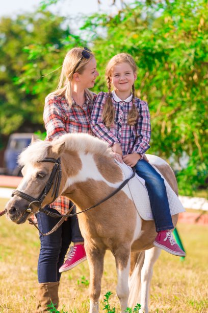小马。景观。夏天图片下载
