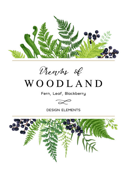 向量卡与叶丛。图片下载