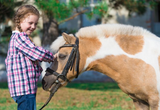 小马。脸的女孩。蓝眼睛。近距离图片下载