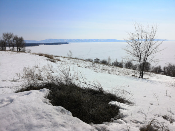 林地和森林地面覆盖着一层雪。田野里有一部分冬天的雪。融化的补丁，融化的雪。在雪中种草。图片下载
