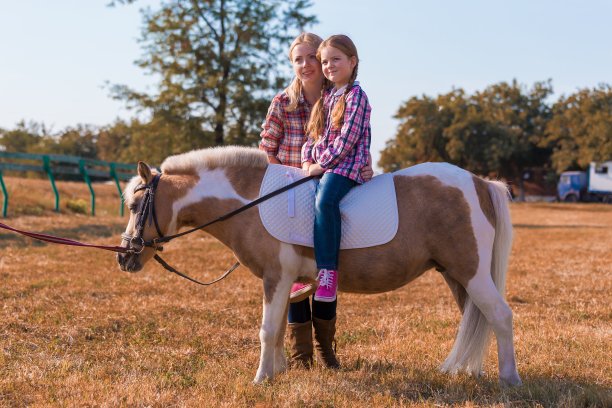 小马。景观。秋天图片下载
