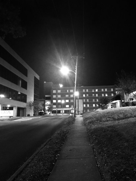 圣伯纳德的医院图片下载