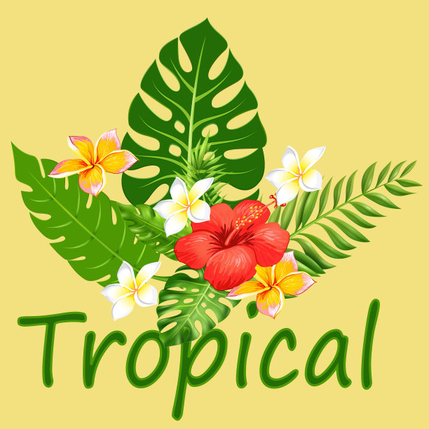 热带花卉文本与叶黄色图片下载