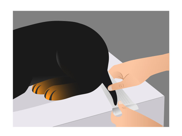 兽医正在给狗的尾巴包扎图片下载