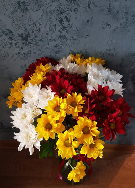 五颜六色的菊花图片下载