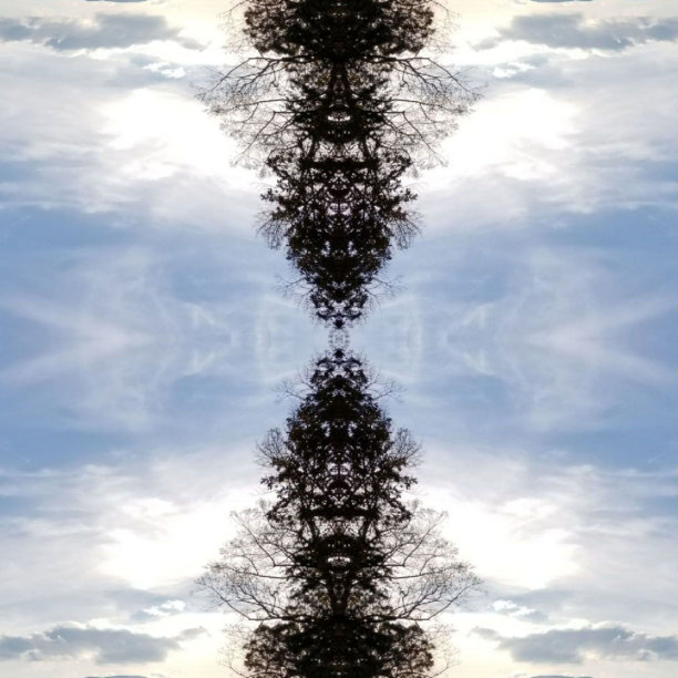 抽象照片拼贴秋树剪影5图片下载