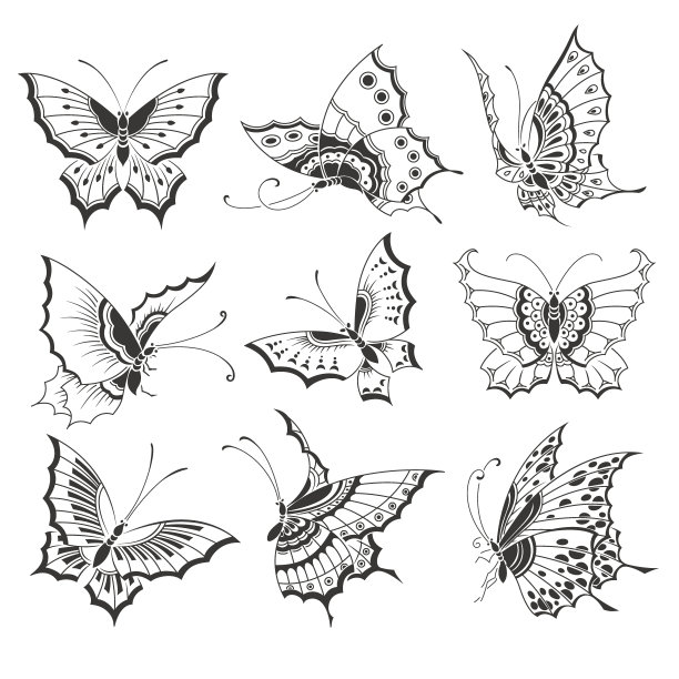 中国式蝴蝶图案-06图片下载