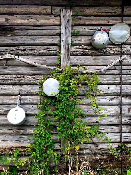 甜蜜生活图片下载