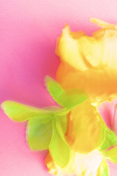 自然，抽象，充满活力，大胆的色彩图片下载