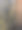 树黄芽图片下载