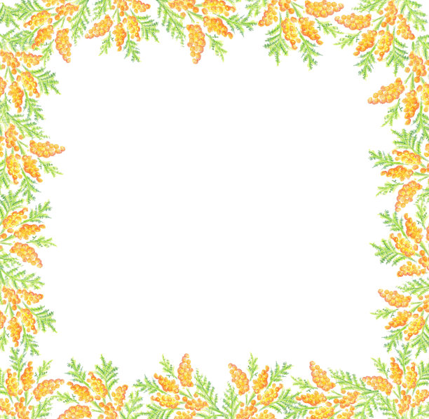 手绘含苞欲放花框架背景图片下载