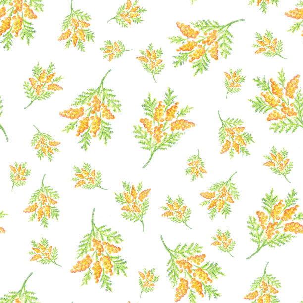 手绘含合花无缝图案背景图片下载