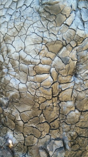 烧焦木材的图像背景纹理。图片下载