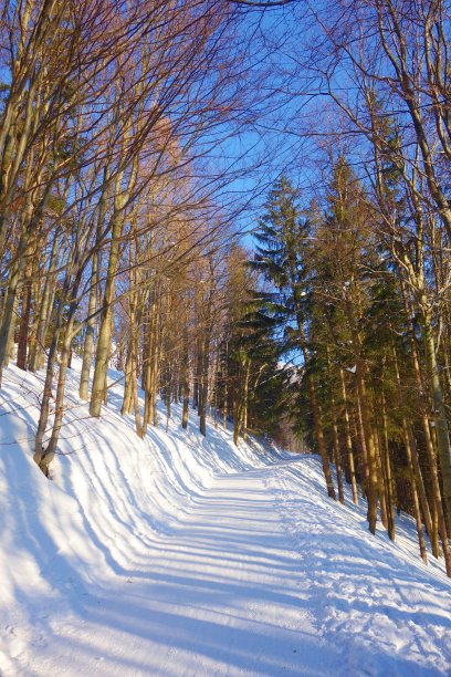 冬季的雪天徒步旅行路线，通往最高的贝斯基山，莱莎霍拉，捷克共和国图片下载