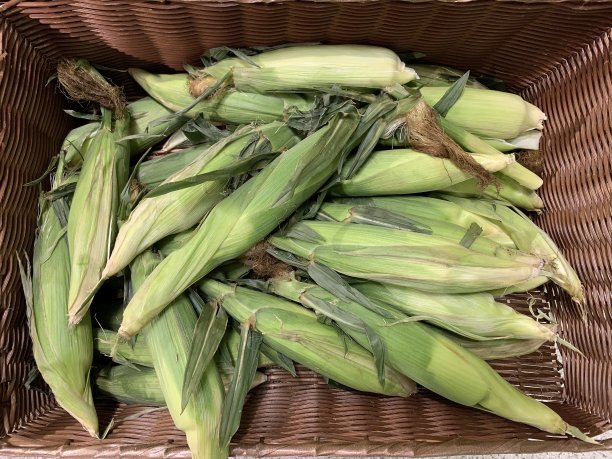 篮子里装满了还在剥壳的玉米穗图片下载