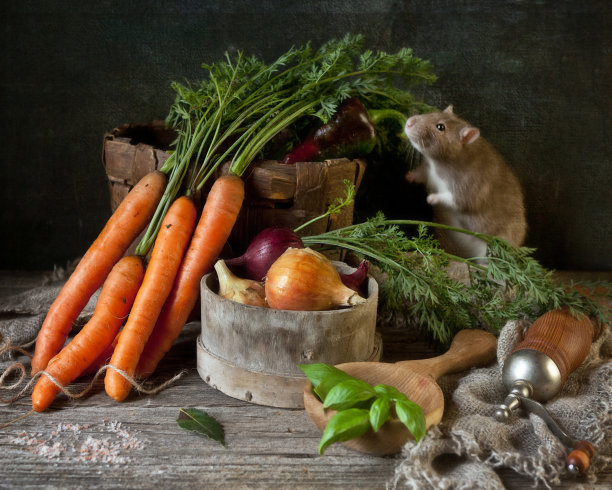 可爱的小灰鼠在复古风格与新鲜的胡萝卜和夏季蔬菜和调味品的静物组成。中国新年的象征图片下载